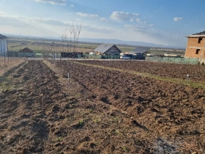 teren de vânzare în Sânpetru  - imagine 6