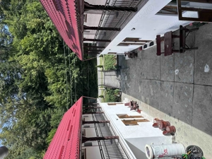 Pensiune Transfagarasan Judetul Sibiu - imagine 3