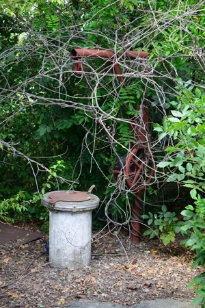 Oferta teren+casa Pipera la pret doar de teren - imagine 5