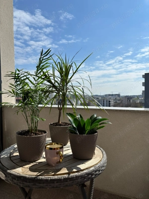 Apartament 2 camere metrou Păcii - imagine 6