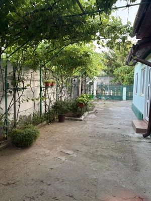 casa de vanzare Alexandria