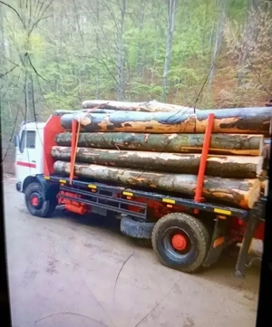 Camion cu macara forestieră   stare foarte bună - imagine 3