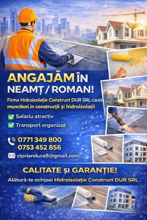 angajam  meseriași  construcții  zona Roman 