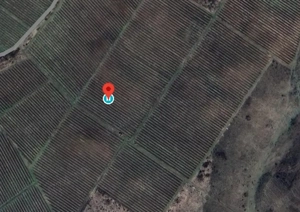 Vanzare 16,5 ha la 3 EUR mp teren extravilan Boldesti-Scaeni