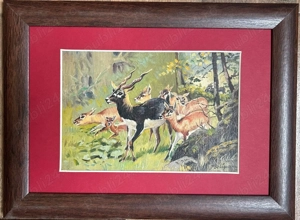Tablou Toader Schipor Tematica Vânătorească Antilope pictură în ulei , inramat 26x35cm
