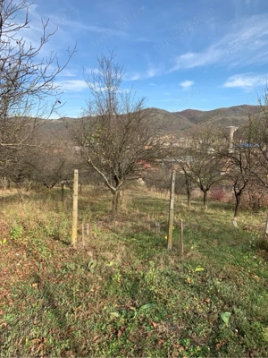 Vand doua terenuri - imagine 4