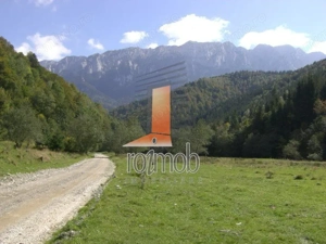 Teren Barsa lui Bucur, Plaiul Foii, Zarnesti - imagine 2