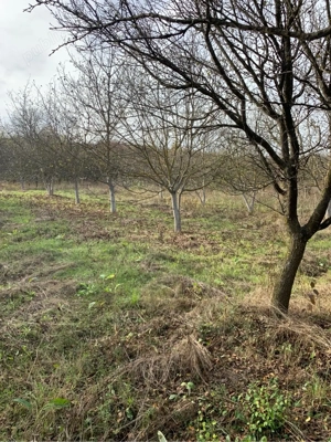 Vand doua terenuri - imagine 3