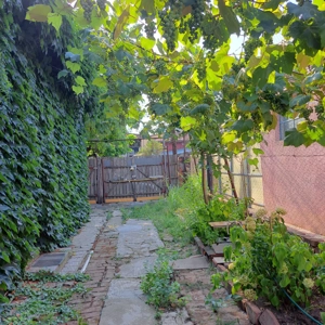 Casa cu teren, anexe, garaj, pivnița, renovabila - imagine 3