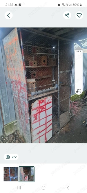 de vanzare perusi plus cusca  - imagine 2