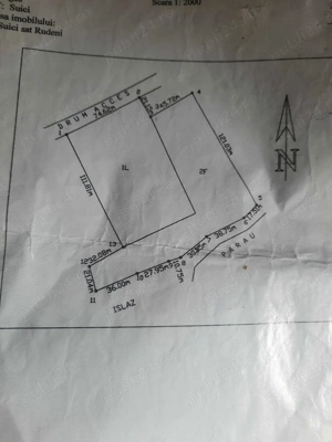Vand teren intravilan 10000mp in comuna Suici, sat Rudeni, Arges