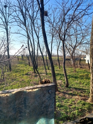 Casă de vânzare Pogoanele, județul Buzău - imagine 10