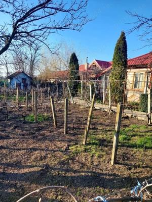 Casă de vânzare Pogoanele, județul Buzău - imagine 4