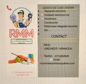 Servicii profesionale 