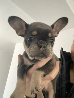 Mă dorește cineva și pe mine!  