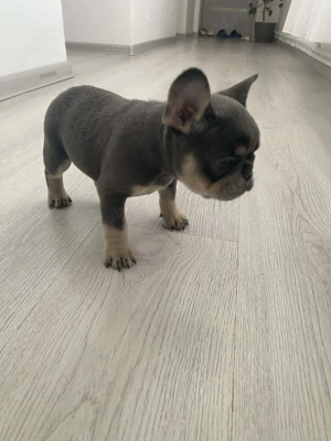 Mă dorește cineva și pe mine!   - imagine 2