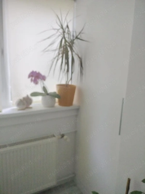 Apartament de vânzare în Gheorgheni Str Băița  - imagine 9