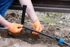 Curte Completă Arad | Gazon + Irigații + Pavaj | Fără Lucrări Mici - imagine 4