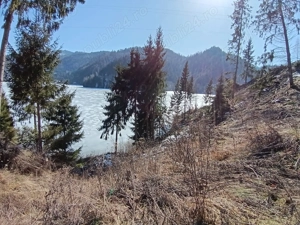 Teren Colibita cu acces la LAC - imagine 2