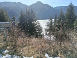 Teren Colibita cu acces la LAC - imagine 7