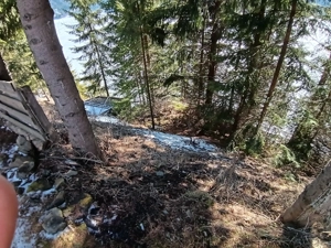 Teren Colibita cu acces la LAC - imagine 5