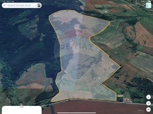 Domeniu - 66 Hectare - Teren deosebit Copsa Mica cu deschidere la DN14 - imagine 13