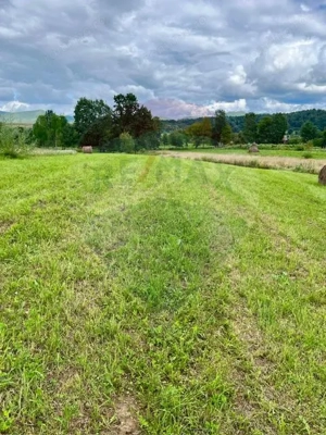 Teren 1,884mp Berbesti / Drumul secundar