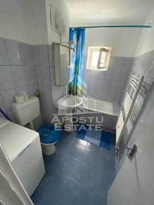 Apartament 2 camere de închiriat ,Pet Friendly ,Sagului-Timisoara - imagine 8