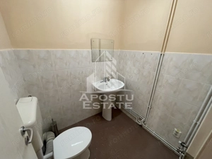 Spatiu comercial, 284 mp, Zona Kaufland Elisabetin Timisoara - imagine 11