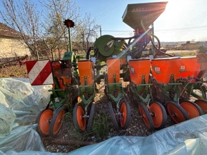 Semanatoare Amazone - imagine 3