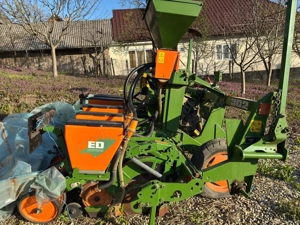 Semanatoare Amazone - imagine 5