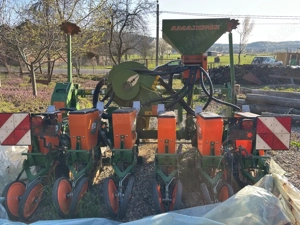 Semanatoare Amazone - imagine 4