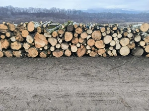 vand lemne de foc esenta tare carpen si fag 