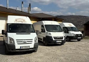 Se vinde trei dube ,folosit  la transport păine.