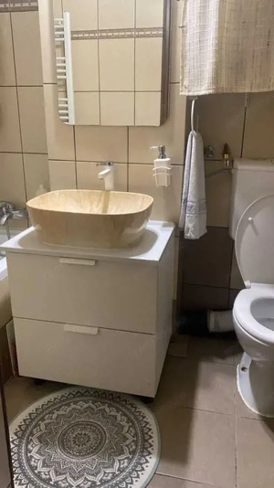 Apartament 2 Camere Bl. Garii - imagine 13