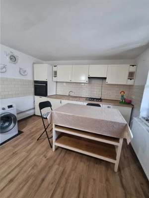 Casa-vila si teren in Nanov - imagine 14