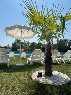 Complex balnear - Calacea - Timis - 15 HA - imagine 11