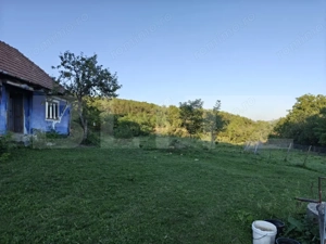 4700 mp teren intravilan - Rascruci - EXCLUSIVITATE