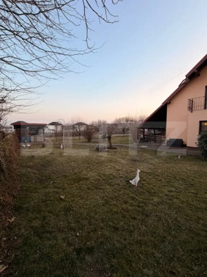 Casa etaj, 140mp utili,691 mp teren, Tisauti - SV - imagine 3