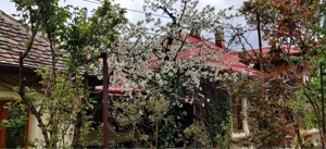 vand casa zona Alunis, suprafata teren 450 mp - imagine 19