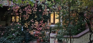 vand casa zona Alunis, suprafata teren 450 mp - imagine 18