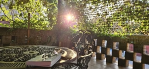 vand casa zona Alunis, suprafata teren 450 mp - imagine 17