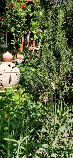 vand casa zona Alunis, suprafata teren 450 mp - imagine 20