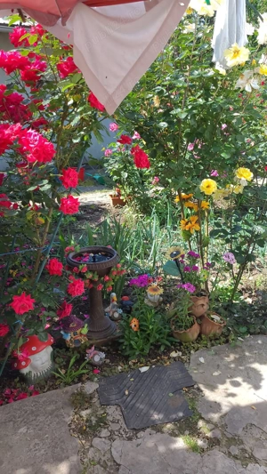 Casa judetul Braila sat Filipesti  - imagine 5