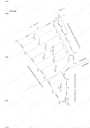 Vând teren intravilan 6067 mp  - imagine 2