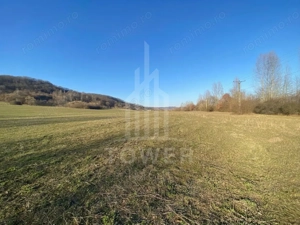 Teren de 7.500 mp de vânzare în Bradu, Avrig-COMISION 0% – lângă râul Olt. - imagine 4