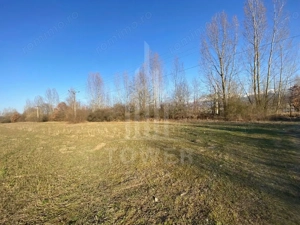 Teren de 7.500 mp de vânzare în Bradu, Avrig-COMISION 0% – lângă râul Olt. - imagine 6