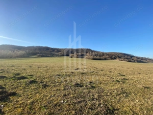 Teren de 7.500 mp de vânzare în Bradu, Avrig-COMISION 0% – lângă râul Olt.