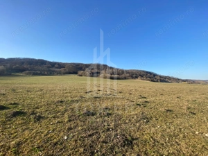 Teren de 7.500 mp de vânzare în Bradu, Avrig-COMISION 0% – lângă râul Olt. - imagine 3