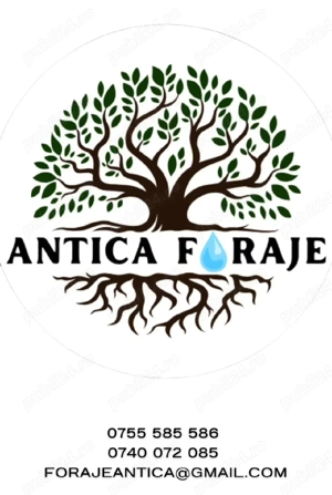 Foraje si prospecțiuni puțuri apă 